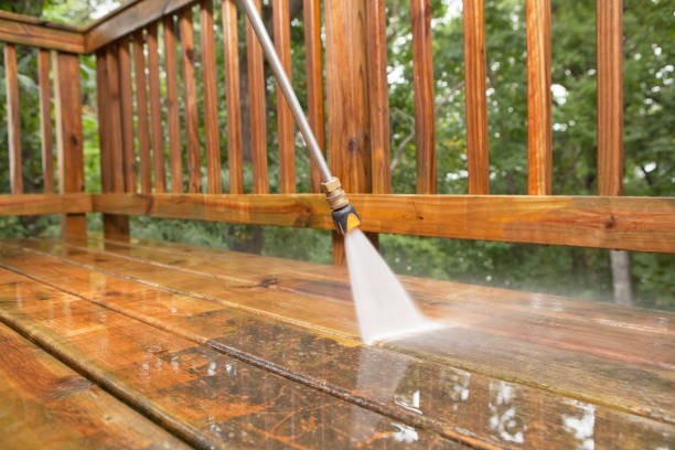 Best Solar Panel Cleaning  in Cecilia, LA
